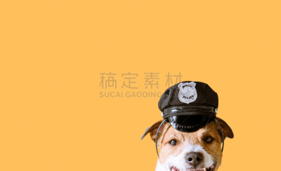 警官,幽默,狗,衣服,制服帽,接力赛,概念,人的头部,安全人员,贴身保镖