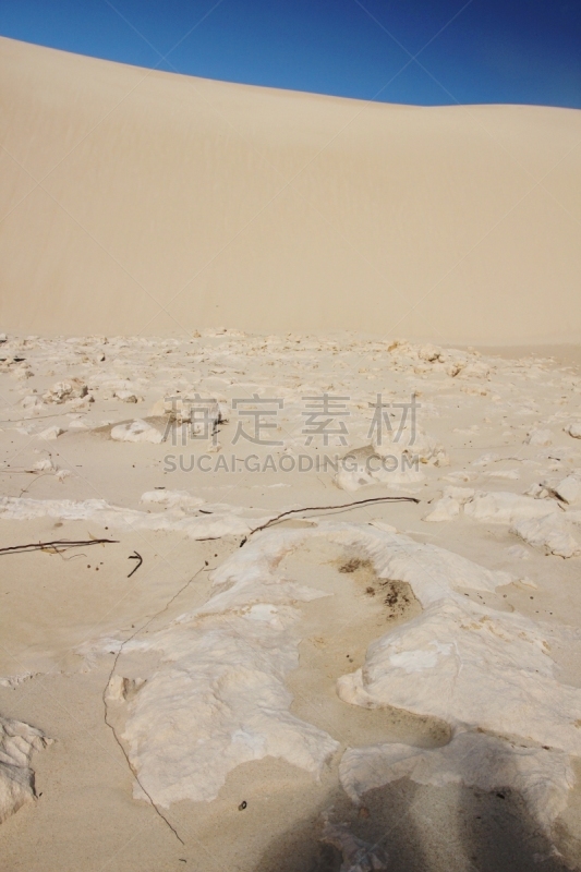 沙漠,石峰沙漠,垂直画幅,西澳大利亚,沙子,旅行者,夏天,尖峰,户外,沙丘
