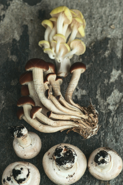 食用菌,清新,蘑菇,黑色,背景,蜂蜜,伞菌,垂直画幅,褐色,纹理效果