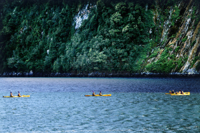 新西兰,峡湾,doubtful sound,milford track,主教法冠,米佛峡湾,划独木舟,皮船,自然,野生动物