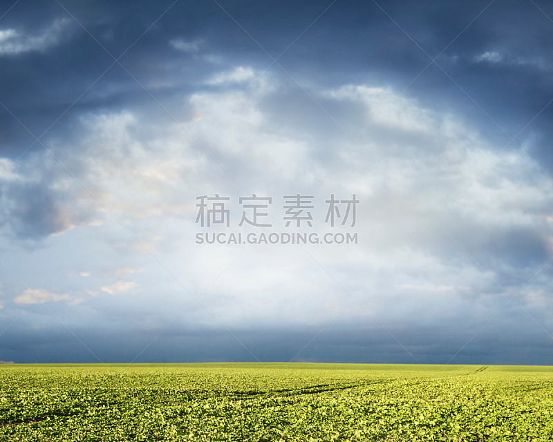 田地,绿色,地形,云,天空,美,暴风雨,水平画幅,夜晚,研磨食品
