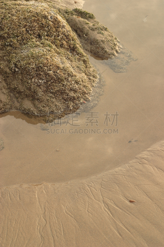 奥勒冈海滨,垂直画幅,水,海岸线,俄勒冈州,俄勒冈郡,海滩,沙子,岩石,无人