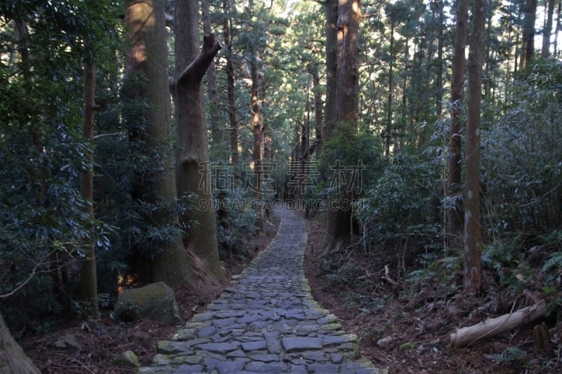 熊野古道,日本,和歌山县,海上航道,山,世界遗产,环境保护,小路,户外,天空