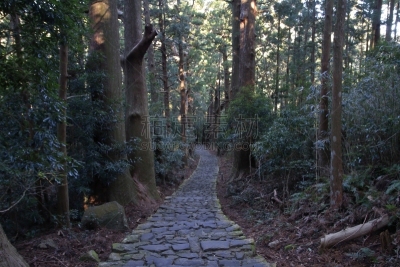 熊野古道,日本,和歌山县,海上航道,山,世界遗产,环境保护,小路,户外,天空