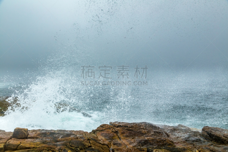早晨,雾,斯库迪克半岛,阿卡迪亚国家公园,东北方向,缅因州,水,水平画幅,无人,鸟类