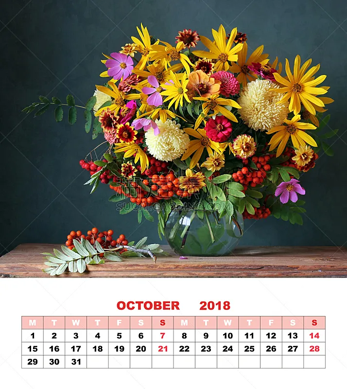 书页 花束 十月 秋天 日历 18 浆果 家庭花园 设计 花图片素材下载 稿定素材