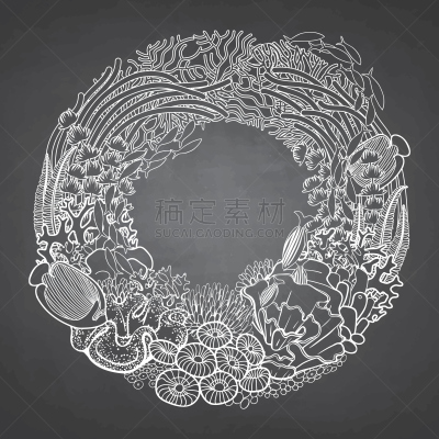 礁石,花环,纹理效果,边框,植物,草图,圆形,水下,鱼类,白色
