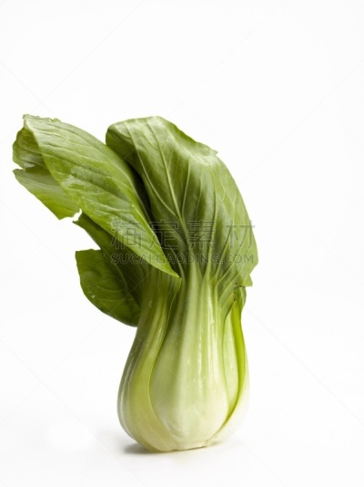油菜,垂直画幅,有机食品,维生素,牛皮菜,植物茎,油菜科,胡青,清新,农业