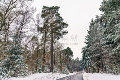 冬天,下莱茵,孚日省,山,法国,路,办公室,天空,雪,旅行者