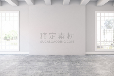 空的,窗户,住宅房间,华贵,地板,模板,现代,住宅内部,门厅,建筑