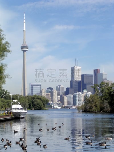 湖,多伦多,岛,小舰队,垂直画幅,水,蓝色,鸟类,湿,户外