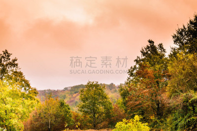 地形,秋天,褐色,水平画幅,绿色,枝繁叶茂,七叶树,无人,户外,环境保护