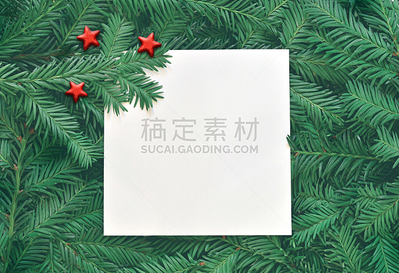 白色,松树,概念,枝,背景,卡片,新年,创造力,贺卡