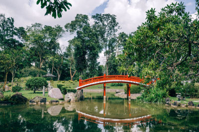 新加坡市,星和园,红色,桥,新加坡,东方石景花园,花园路,人行桥,夏天,湖