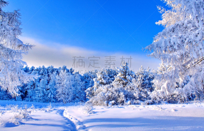 冬天,哈姆博,自然,寒冷,冬季服务,水平画幅,地球日,雪,无人,夏天