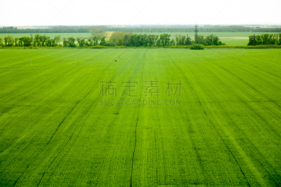 云,天空,草地,蓝色,在下面,云景,环境,公园,草,春天