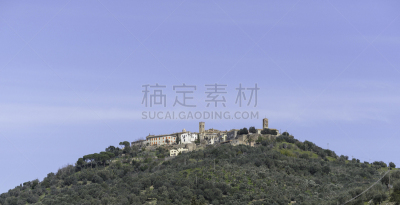 公园,森林,近海岸牧羊犬,水平画幅,山,油橄榄树,古老的,户外,在上面,植物