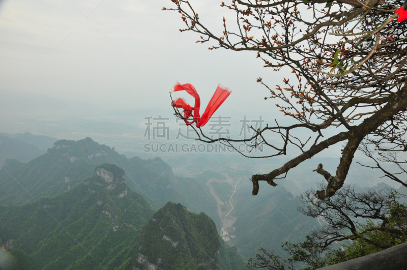 张家界,山脉,中国,圣战,马德里省,面向陆地,湖南省,江苏省,多云,地平面