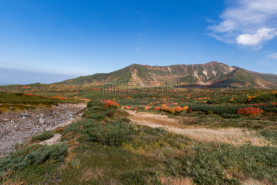 北海道,地形,秋天,日本,山脉,远距离,旭岳火山,大雪山国家公园,沟壑,里山