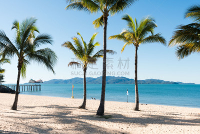 椰子树,海滩,鸡尾酒,磁岛,澳大利亚,水,天空,美,水平画幅,沙子