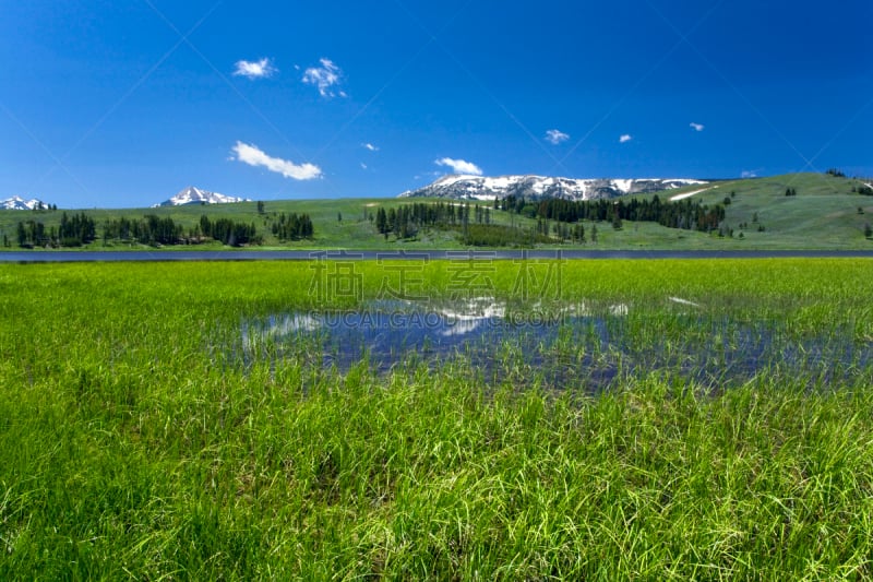 天空,草地,蓝色,色彩鲜艳,美,美国西部,草原,水平画幅,山,雪