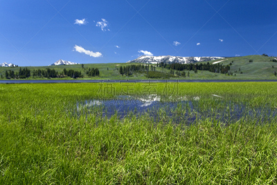 天空,草地,蓝色,色彩鲜艳,美,美国西部,草原,水平画幅,山,雪