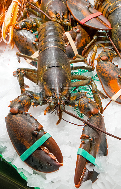 龙虾,市场,待售,大螯虾,龙虾捕捞,垂直画幅,饮食,食品杂货,海产,2015年