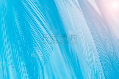 粉色,光,式样,彩色图片,背景,纹理,翎毛,蓝色,时髦的,波西米亚