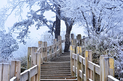 雪,班迪亚森林,蛋筒,擤鼻子,水平画幅,无人,路,户外,冰,天气