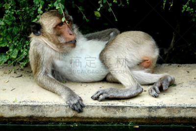 巴蜀,泰国,自然,水平画幅,地形,无人,亚洲,户外,摄影,旅游