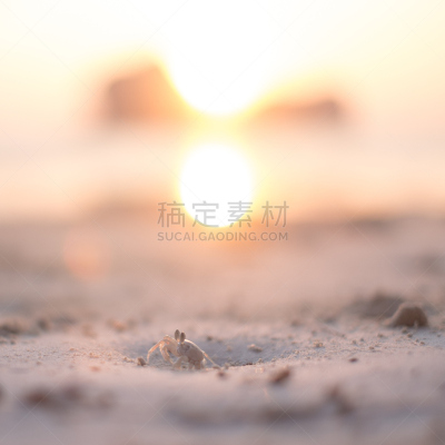 鬼蟹,海滩,背景,水,天空,美,无人,安达曼海,早晨,曙暮光