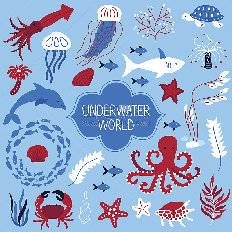 水下,动物,舞台,墨鱼,海螺,藻类,章鱼,水母,龟