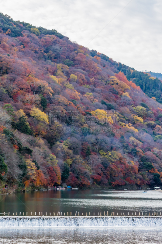 河流,秋天,叶子,嵯峨野,片山,岚山,垂直画幅,京都府,里山,无人