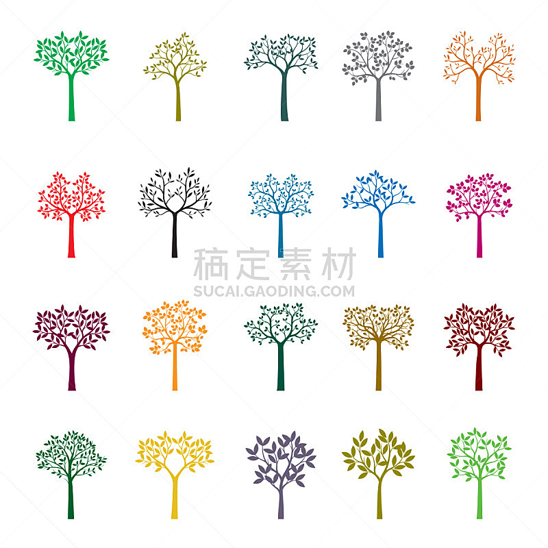 植物,绘画插图,矢量,绿色,园林,波兰,环境,春天,树干,背景