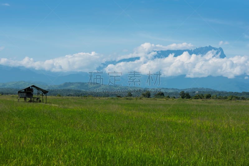 京那峇鲁山,稻田,背景聚焦,天空,美,水平画幅,无人,婆罗洲岛,沙巴州,热带雨林