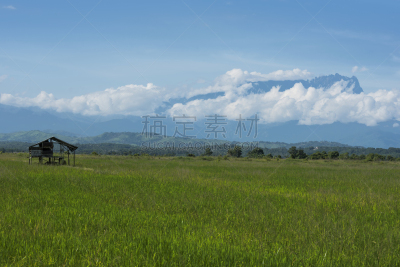 京那峇鲁山,稻田,背景聚焦,天空,美,水平画幅,无人,婆罗洲岛,沙巴州,热带雨林