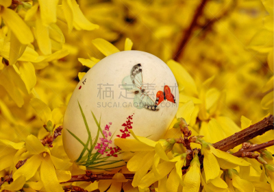 复活节彩蛋,连翘属植物,手工着色,复活节,水平画幅,宫灯百合,无人,符号,涂料,春天