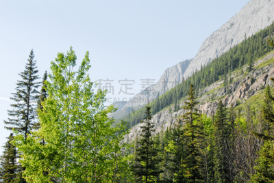 加拿大落基山脉,杰士伯,阿尔伯塔省,地形,加拿大,春天,路,碧玉,天空,水平画幅
