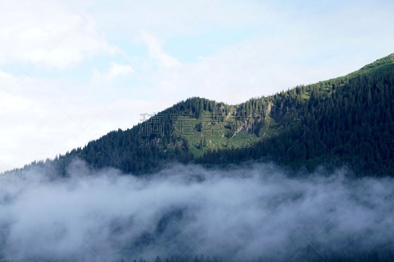 雾,早晨,lake spitzingsee,天空,松树,水平画幅,绿色,无人,户外,云景