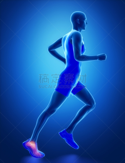 医学扫描,慢跑,踝,蓝色,腿,男人,垂直画幅,身体受伤,韧带,腓骨