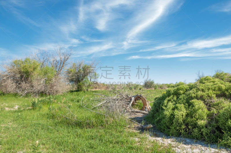 草原,东欧大草原,河漫滩,veldt,水,天空,气候,水平画幅,无人,干草卷