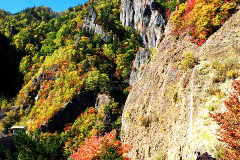 秋天,丹姆,札幌,北海道,温泉,水平画幅,枫叶,无人,枫树,晕影效果