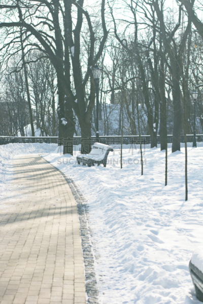 公园长椅,大雪,有包装的,长椅,一月,公园,户外,圣诞树,晴朗,白色