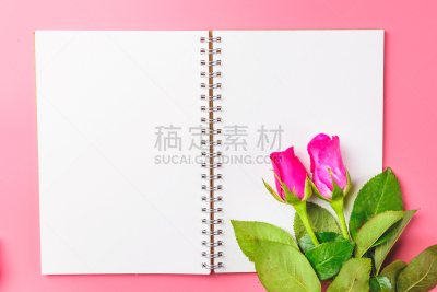 情人节卡,空白的,笔记本,玫瑰,婚礼,粉色,可爱的,粉色背景,文字,复古