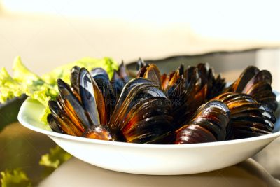 贻贝,盘子,饮食,水平画幅,软体动物,生食,膳食,精制土豆,海产,小吃