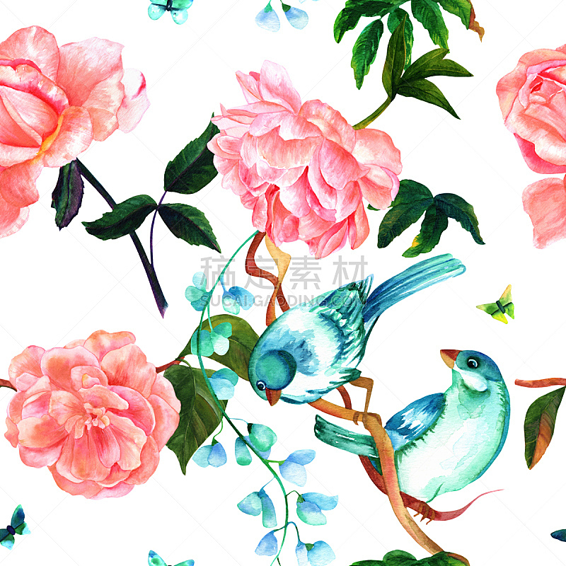 鸟类,高雅,四方连续纹样,水彩画,玫瑰,茶花,牡丹,绿松石色,叶状图案,玫瑰色的