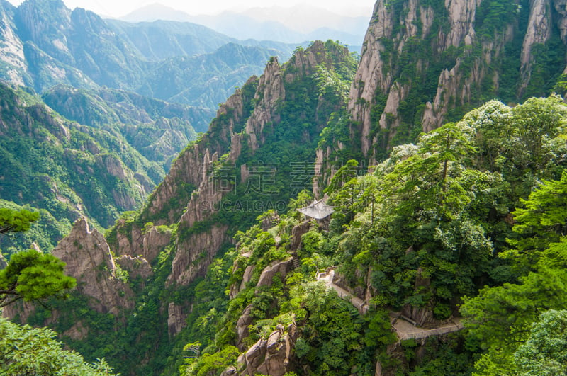 黄山山脉,中国,自然,松树,水平画幅,山,无人,户外,中长距离,松科