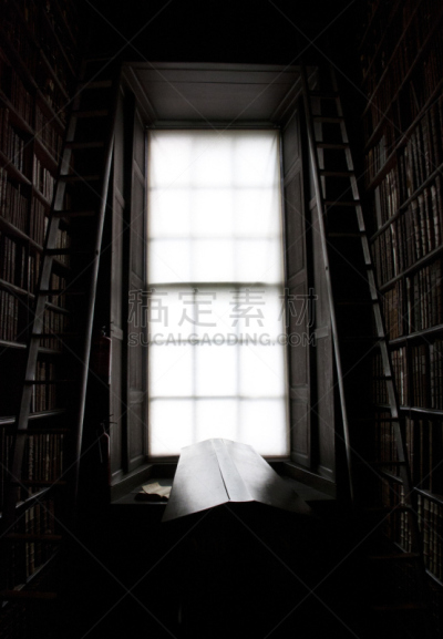 古典式,图书馆,圣三一学院,高柜,爱尔兰都柏林,百科全书,抽屉柜,垂直画幅,智慧,古老的