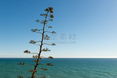 海岸线,西班牙,勇气,赫罗纳,陡峭海岸,赫罗纳省,特萨德玛,地中海,夏天,户外