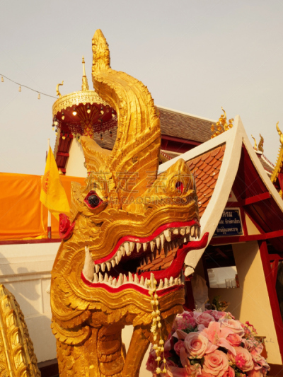 泰国,寺庙,亚洲,台阶,曼谷,抽象,十字形,那加河,鲜绿色,教区牧师